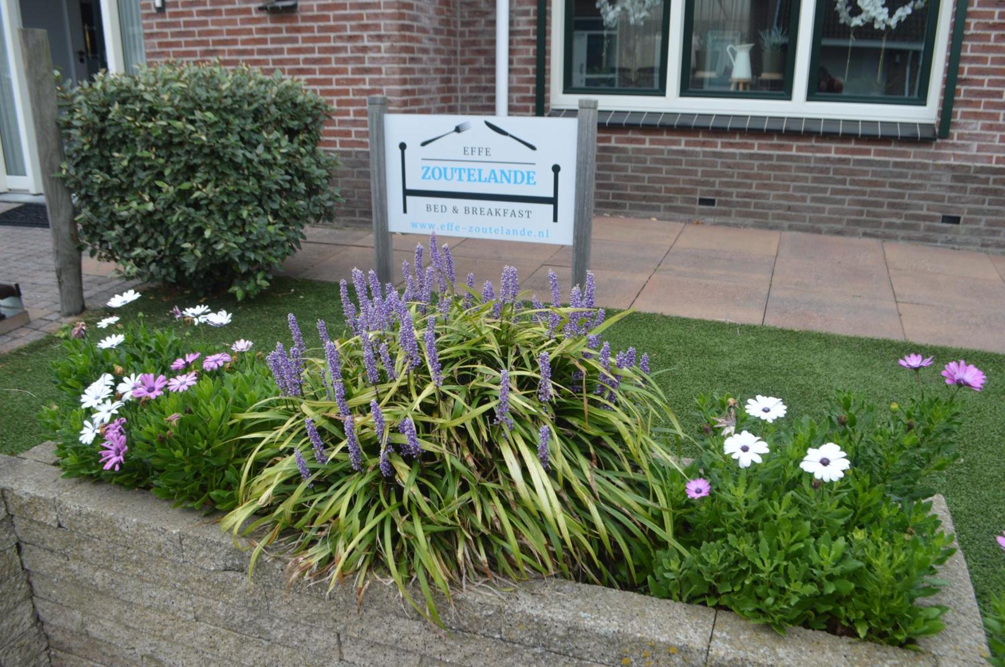 Effe-Zoutelande B&B Exteriör bild